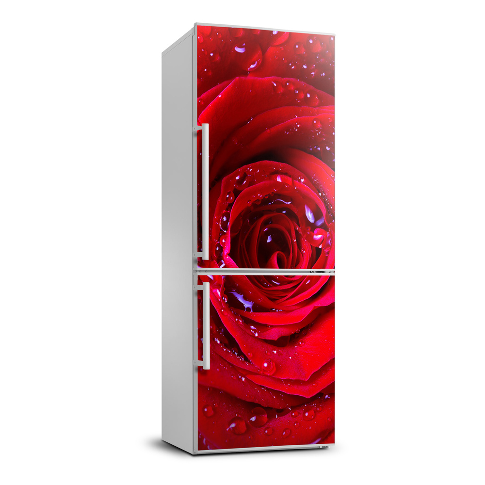 Autocolant pe frigider Trandafir roșu