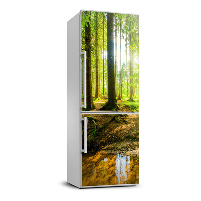 Foto Autocolant pentru piele al frigiderului Soare în pădure