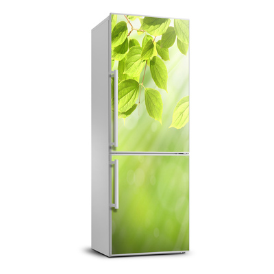 Autocolant pe frigider frunze verzi