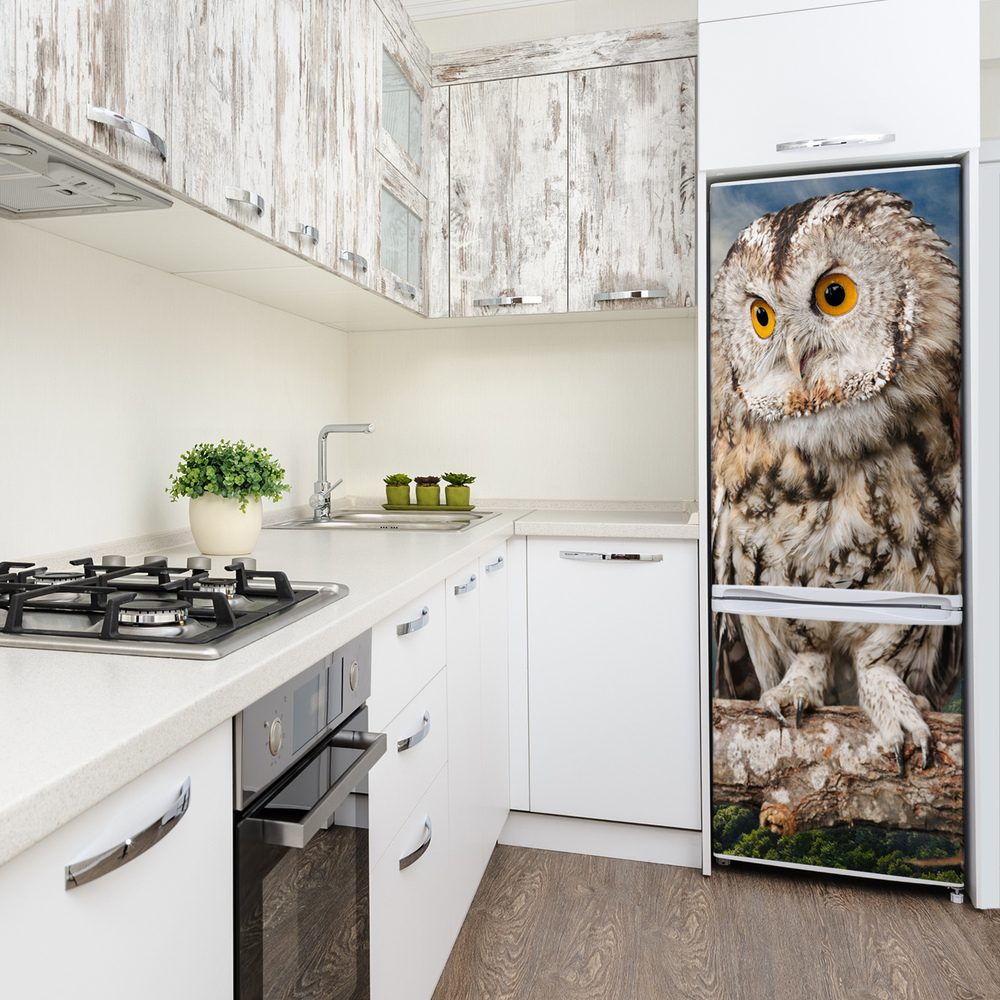 Autocolant pe frigider Owl pe deal