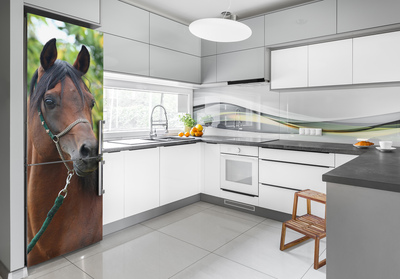 Foto Autocolant pentru piele al frigiderului Portret de un cal