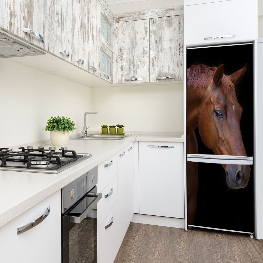 Autocolant pe frigider Portret de un cal