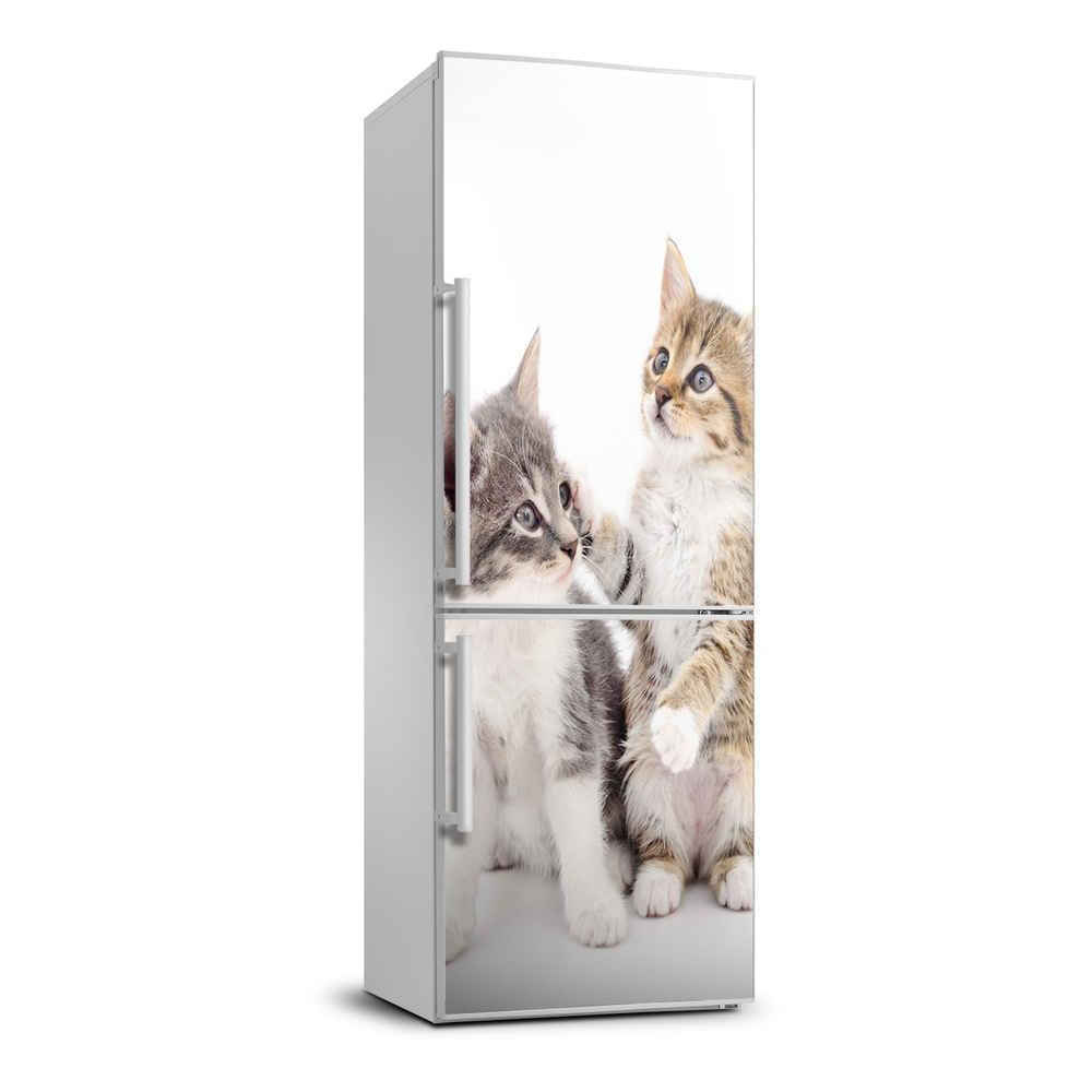 Autocolant pe frigider Două pisici de talie mică