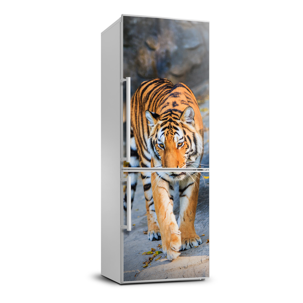 Foto Autocolant pentru piele al frigiderului Tigru