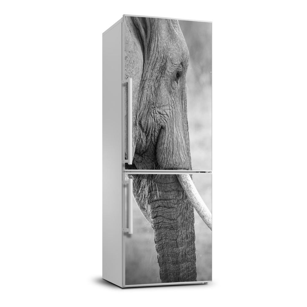 Foto Autocolant pentru piele al frigiderului elefant