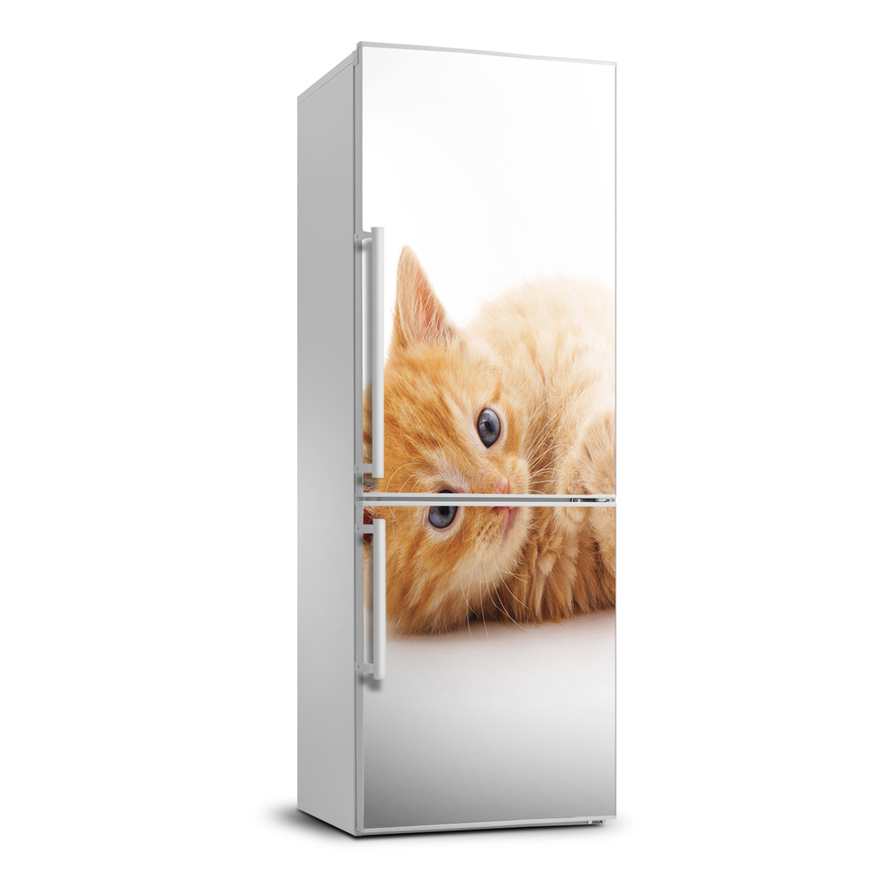 Autocolant pe frigider pisică ghimbir mici