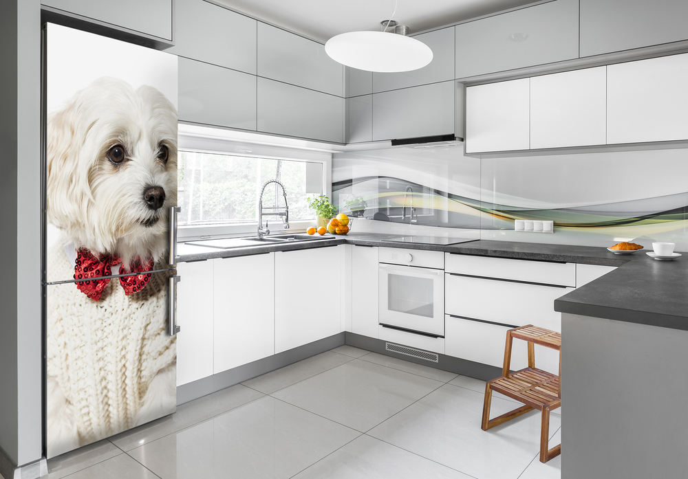 Foto Autocolant pentru piele al frigiderului Câine papion XL
