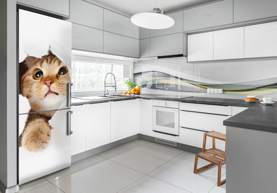 Autocolant pe frigider pisică XL