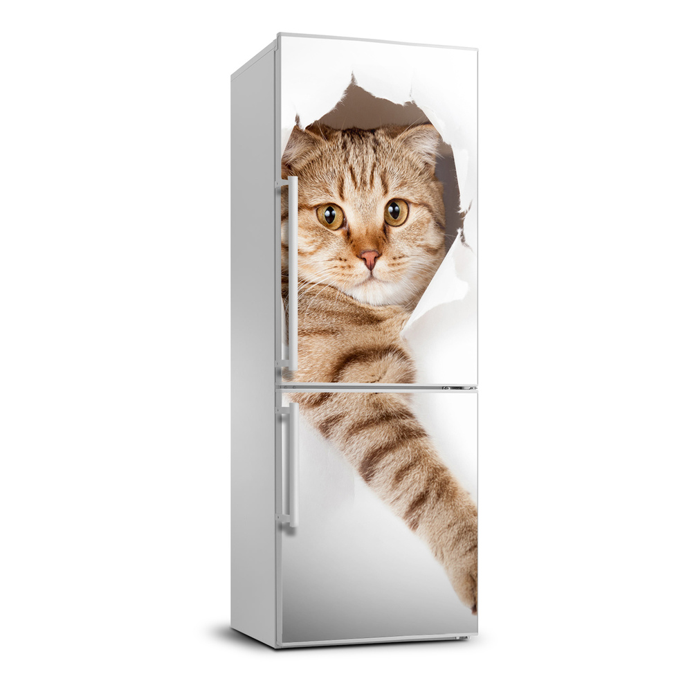 Autocolant frigider acasă Pisică
