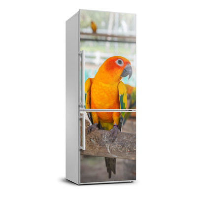 Autocolant pe frigider Papagal