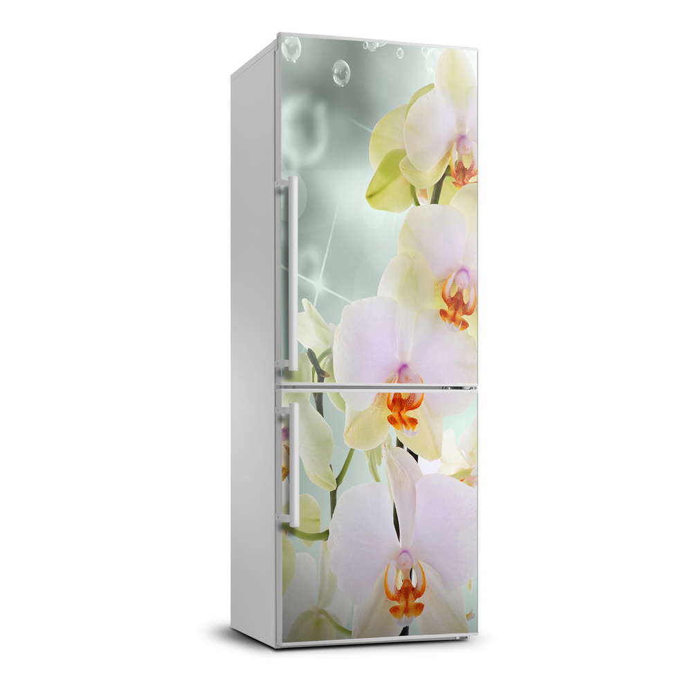 Foto Autocolant pentru piele al frigiderului Orhidee