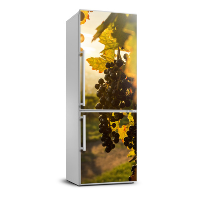 Foto Autocolant pentru piele al frigiderului Peisaje pentru viticultura