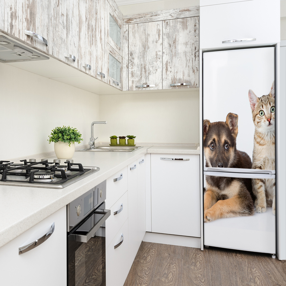 Autocolant pe frigider Câine și pisică