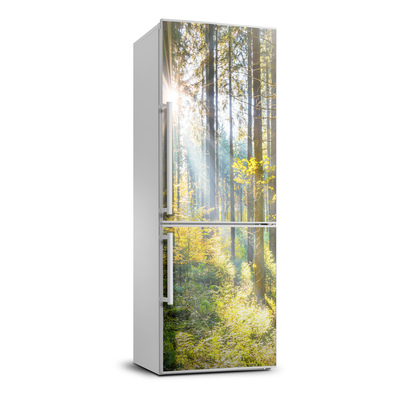 Autocolant pe frigider Soare în pădure