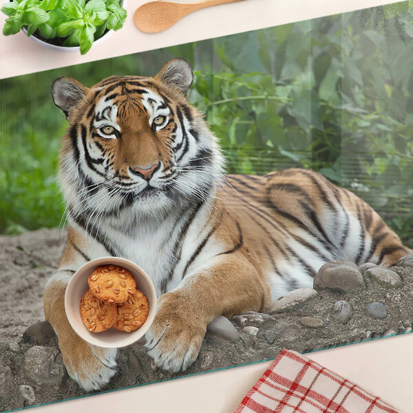 Tocător din sticlă Tigru în habitatul său natural