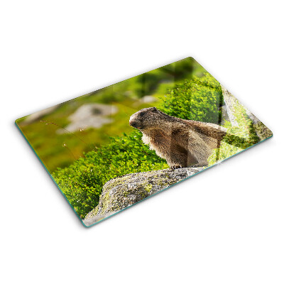 Tocător din sticlă Marmotă pe un fundal de iarbă verde
