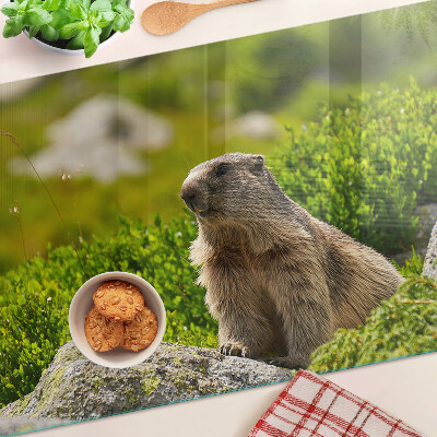 Tocător din sticlă Marmotă pe un fundal de iarbă verde