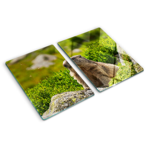 Tocător din sticlă Marmotă pe un fundal de iarbă verde