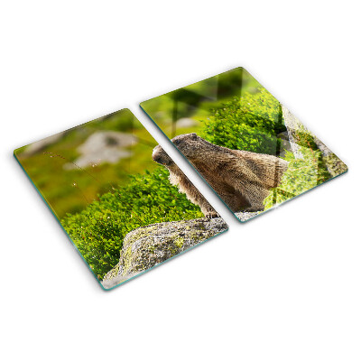Tocător din sticlă Marmotă pe un fundal de iarbă verde