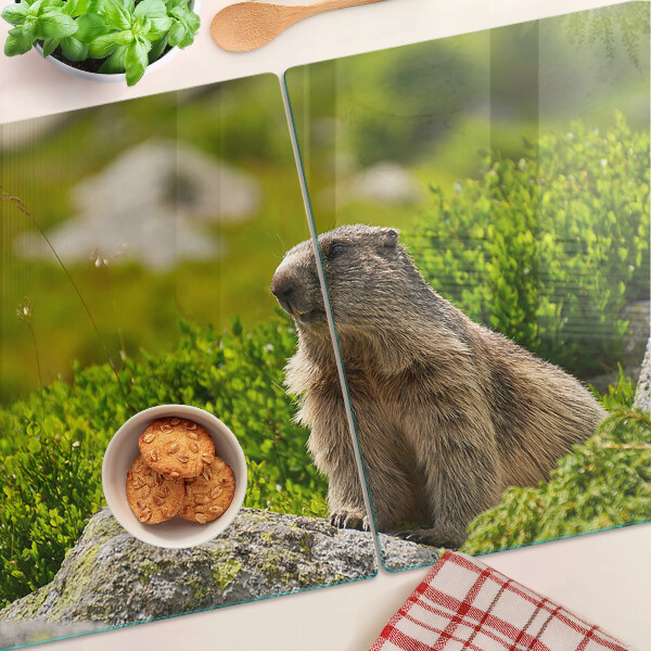 Tocător din sticlă Marmotă pe un fundal de iarbă verde