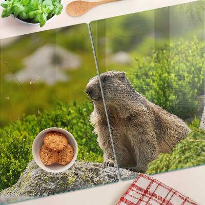 Tocător din sticlă Marmotă pe un fundal de iarbă verde