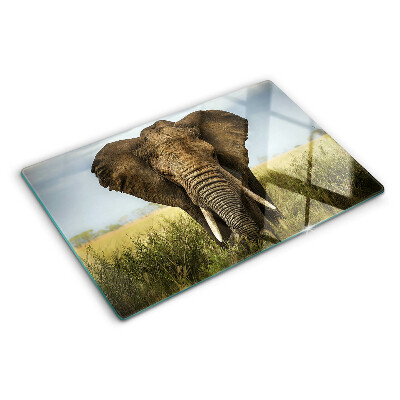 Tocător sticlă Un elefant pe fundalul savanei africane