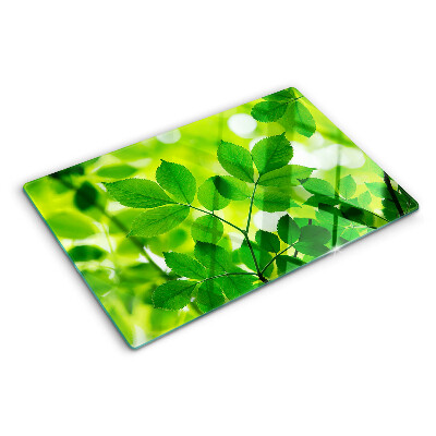 Tocător sticlă Frunze pe un fundal verde