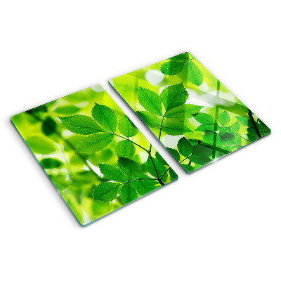 Tocător sticlă Frunze pe un fundal verde