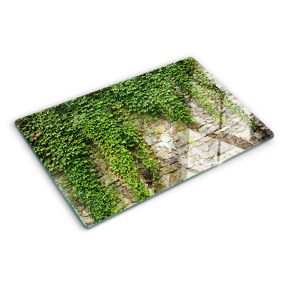 Tocător din sticlă Perete verde cu mușchi