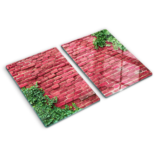 Tocător de bucătărie Zid de cărămidă cu vegetație