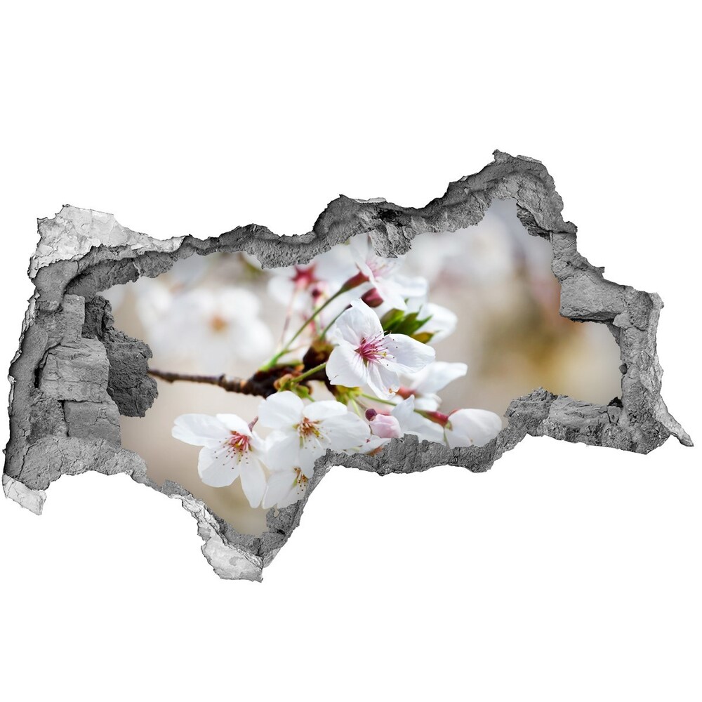Autocolant autoadeziv gaură flori de cireș