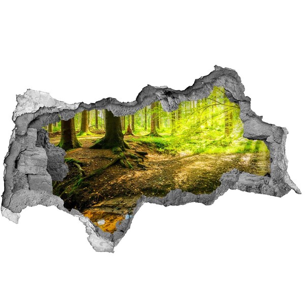 Fototapet 3D gaură în perete Pădure verde cu un pârâu