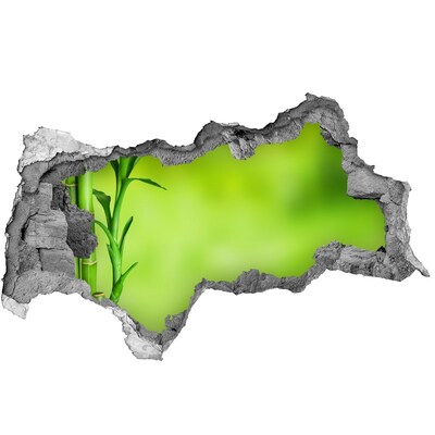 Fototapet 3D gaură în perete O oază verde în spatele zidului