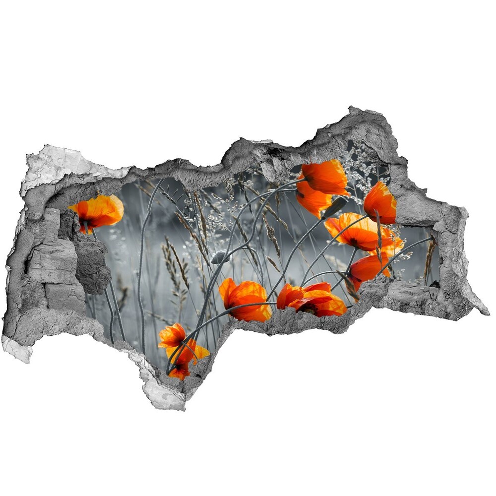 Autocolant gaură 3D wildflowers maci