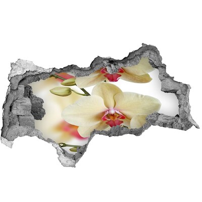 Autocolant de perete gaură 3D Orhidee într-un zid spart