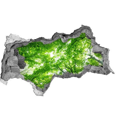Autocolant de perete gaură 3D Pădurea verde într-o gaură în perete