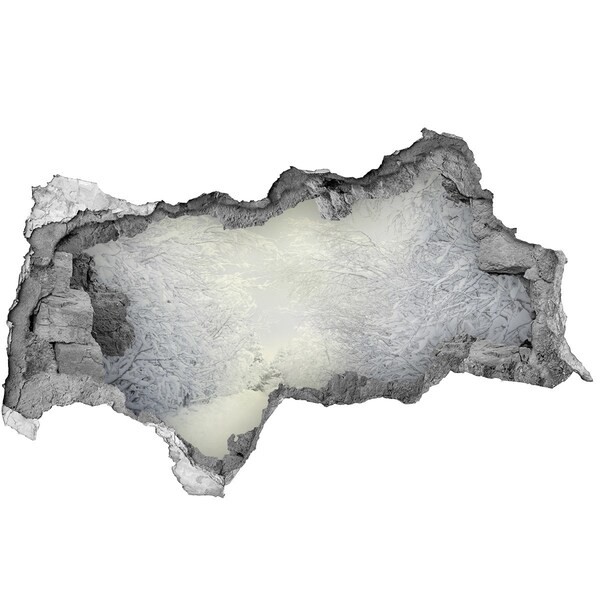 Autocolant 3D gaura cu priveliște Peisaj de iarnă în spatele zidului