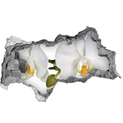 Autocolant gaură 3D Orhidee