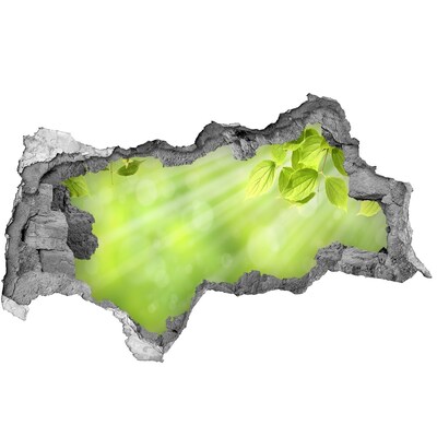 Fototapet 3D gaură în perete Paradis verde în spatele zidului