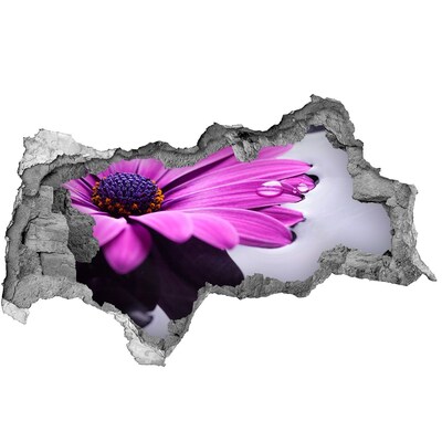 Fototapet 3D gaură în perete O oază florală în spatele peretelui