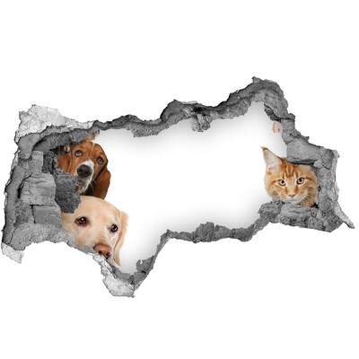 Fototapet 3D gaură în perete Câini și pisici