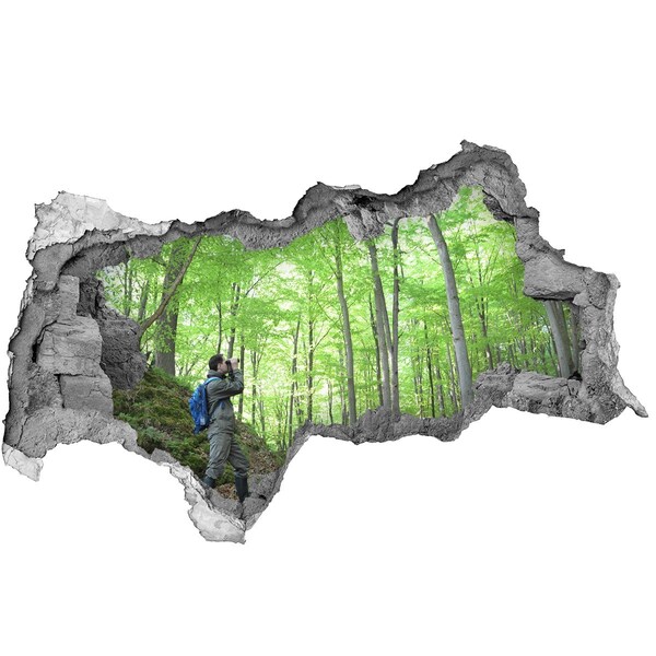 Autocolant gaură 3D Ornitolog în pădure