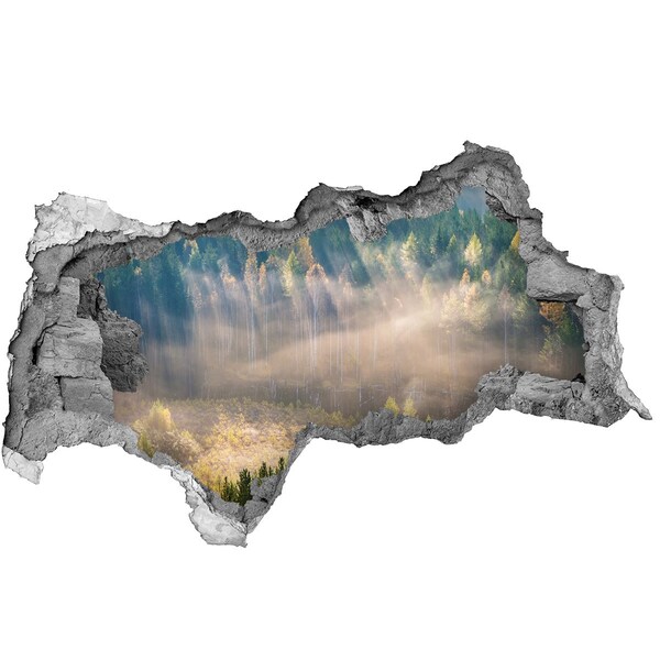 Autocolant gaură 3D Peisaj forestier în spatele zidului