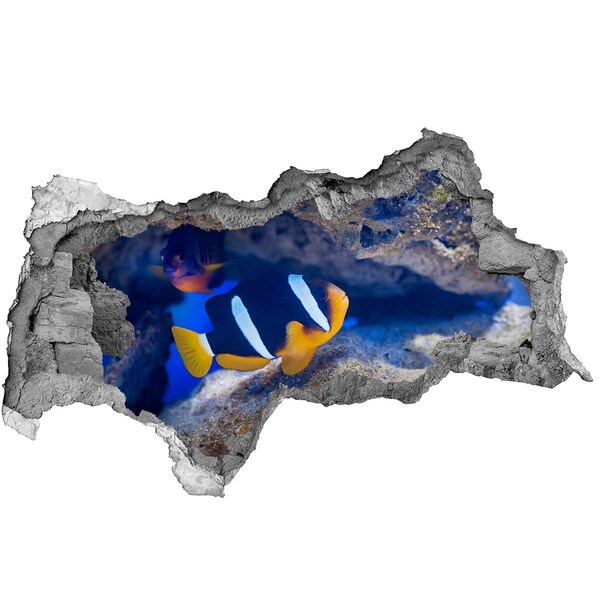 Fototapet 3D gaură în perete Lumea subacvatică a recifului de corali