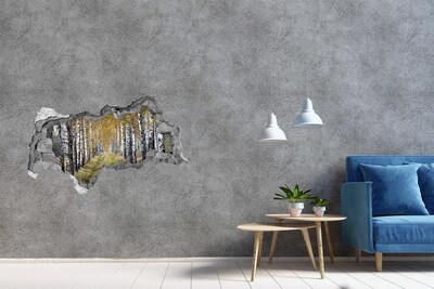 Fototapet 3D gaură în perete Aleea de mesteacăn de toamnă