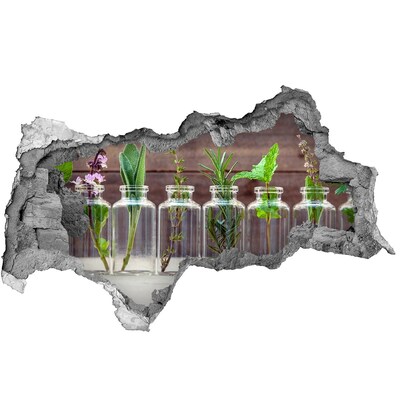 Fototapet 3D gaură în perete Plantele în borcane