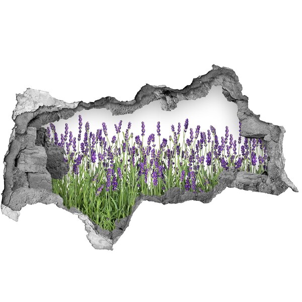 Autocolant 3D gaura cu priveliște Oază florală de lavandă