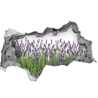 Autocolant 3D gaura cu priveliște Oază florală de lavandă
