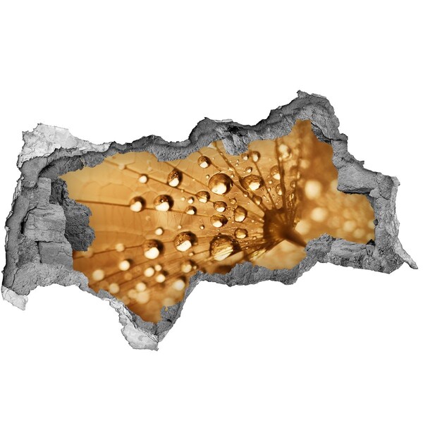 Autocolant de perete gaură 3D Picături pe o frunză