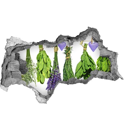 Autocolant gaură 3D Grădina de plante aromatice „Gauă în perete”